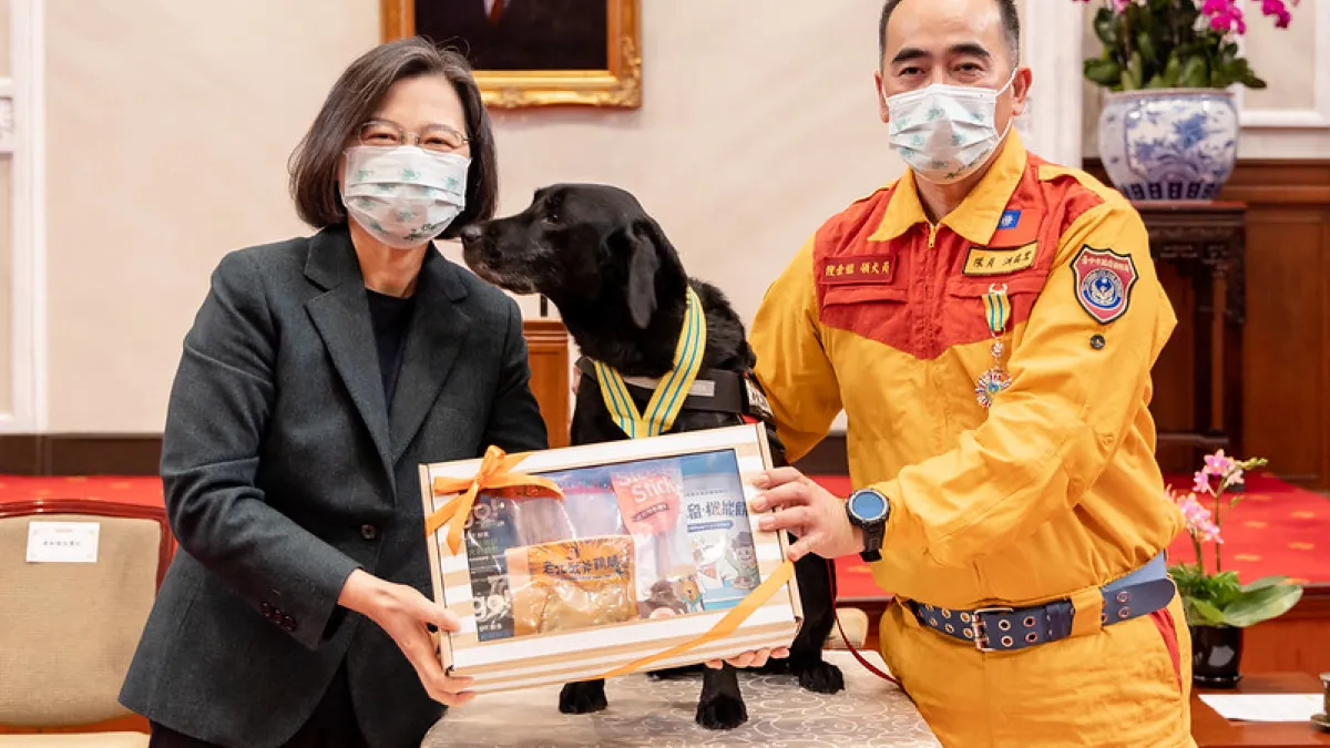 總統蔡英文今日接見土耳其震災台灣國際搜救隊,並為搜救犬頒發獎章。(總統府提供)