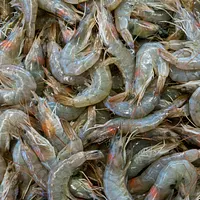 ホンジュラスは2023年に台湾と断交し中国と国交を樹立したが、その後エビ産業は市場価格・輸出量とも急激に低下した。(イメージ/Unsplash) ホンジュラスは2023年に台湾と断交し中国と国交を樹立したが、その後エビ産業は市場価格・輸出量とも急激に低下した。(イメージ/Unsplash)