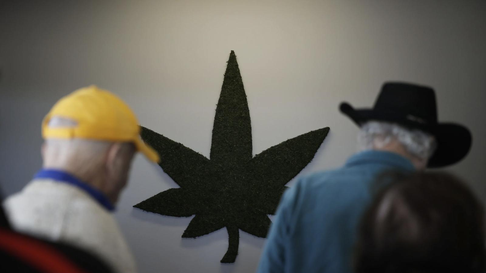 華爾街日報》美國老年人大麻越吸越嗨,鄰居們怨聲載道
