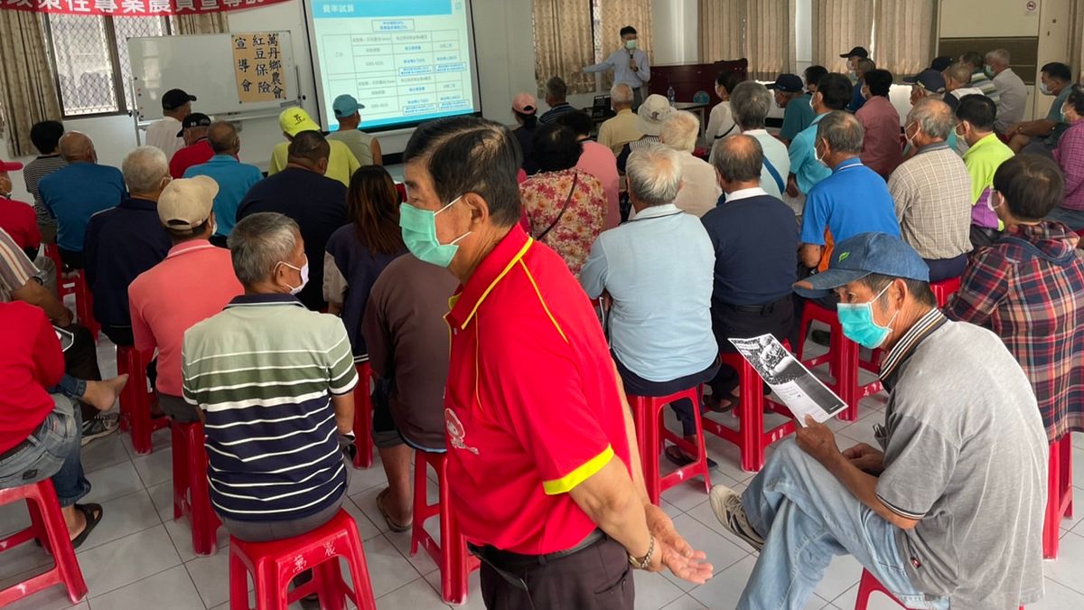 屏東縣政府推出「紅豆保險」,保障紅豆的主要風險。(圖/屏東縣政府農業處提供) 屏東縣政府推出「紅豆保險」,保障紅豆的主要風險。(圖/屏東縣政府農業處提供)