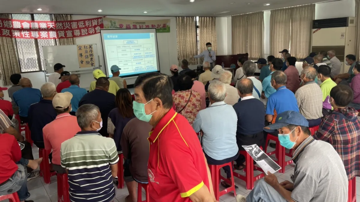 屏東縣政府推出「紅豆保險」,保障紅豆的主要風險。(圖/屏東縣政府農業處提供)