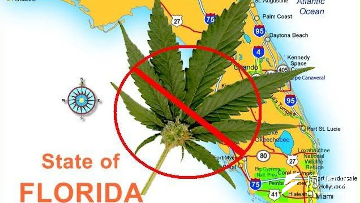 美國佛羅里達州的大麻事業已蓄勢待發(Medical Marijuana Tampa官方網站) 美國佛羅里達州的大麻事業已蓄勢待發(Medical Marijuana Tampa官方網站)