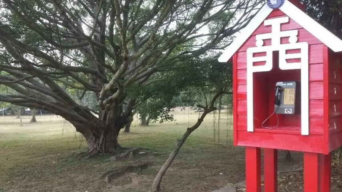來到金門,有回到童年的感覺。(丁香結攝)