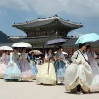 Foreign tourists in traditional hanbok explore Seoul's streets. Seasonal fruit stalls are emerging as a hidden gem for Taiwan travelers in South Korea, with grapes selling for less than NT$50 (USD$1.56) a bunch. (AP) Foreign tourists in traditional hanbok explore Seoul's streets. Seasonal fruit stalls are emerging as a hidden gem for Taiwan travelers in South Korea, with grapes selling for less than NT$50 (USD$1.56) a bunch. (AP)