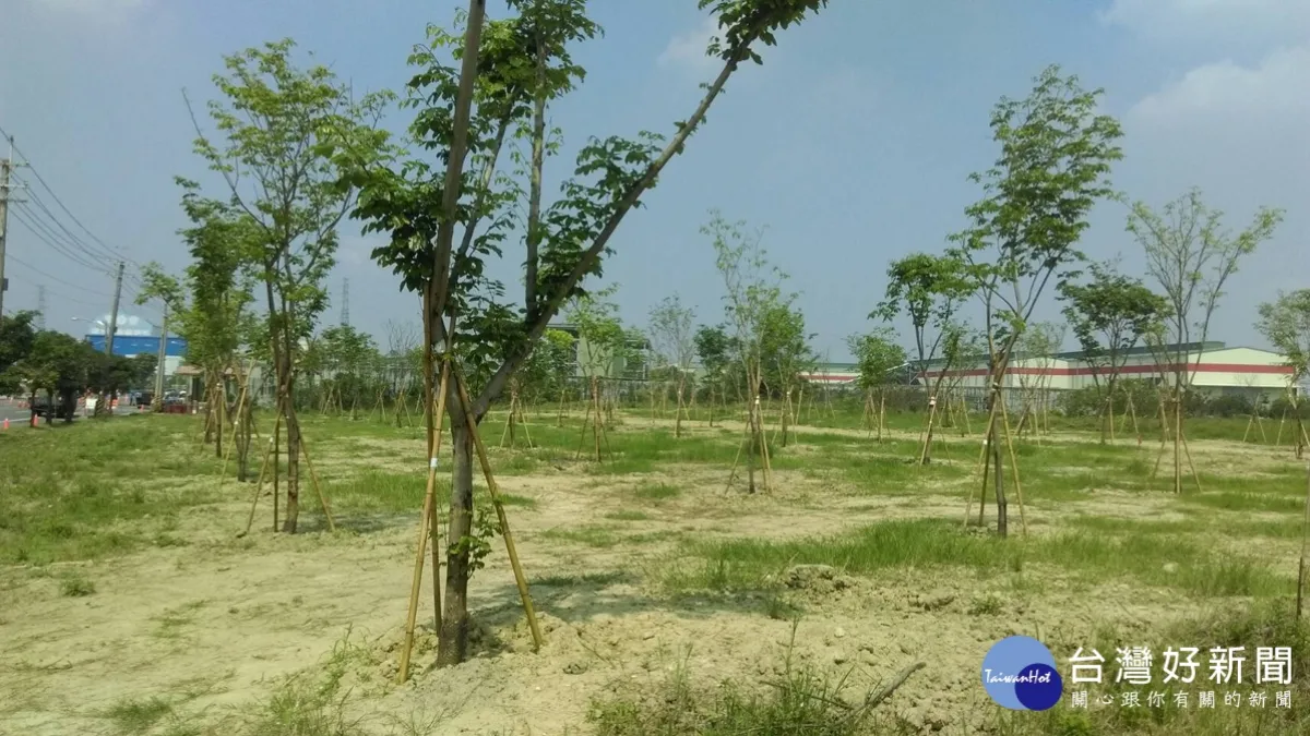 十年百萬植樹 孕育高雄綠色基因
