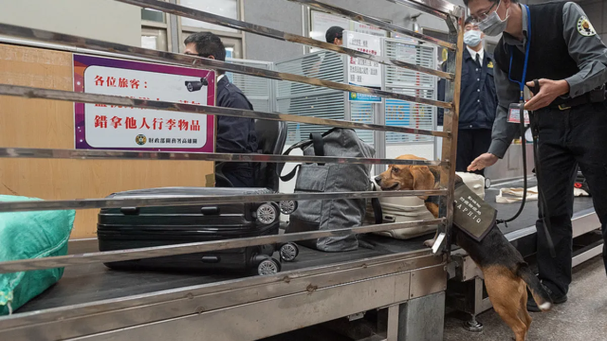 桃園機場傳出陸客因帶豬肉乾與魚肉香腸入境,遭罰鍰20萬元。示意圖,與新聞個案無關。(資料照,總統府提供)