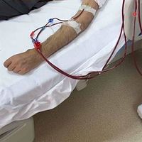 台湾では公的医療保険制度により、所得に関わらず高品質な透析医療を受けられる環境が整っている。(写真/華人健康網提供) 台湾では公的医療保険制度により、所得に関わらず高品質な透析医療を受けられる環境が整っている。(写真/華人健康網提供)