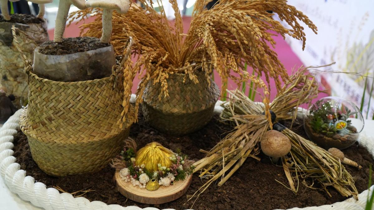 從春耕到冬藏看見土地故事 「四季金山」特展登場 週末免費DIY帶民眾走進農村日常