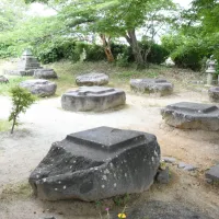 本薬師寺跡。(写真/橿原市PR事務局提供) 本薬師寺跡。(写真/橿原市PR事務局提供)
