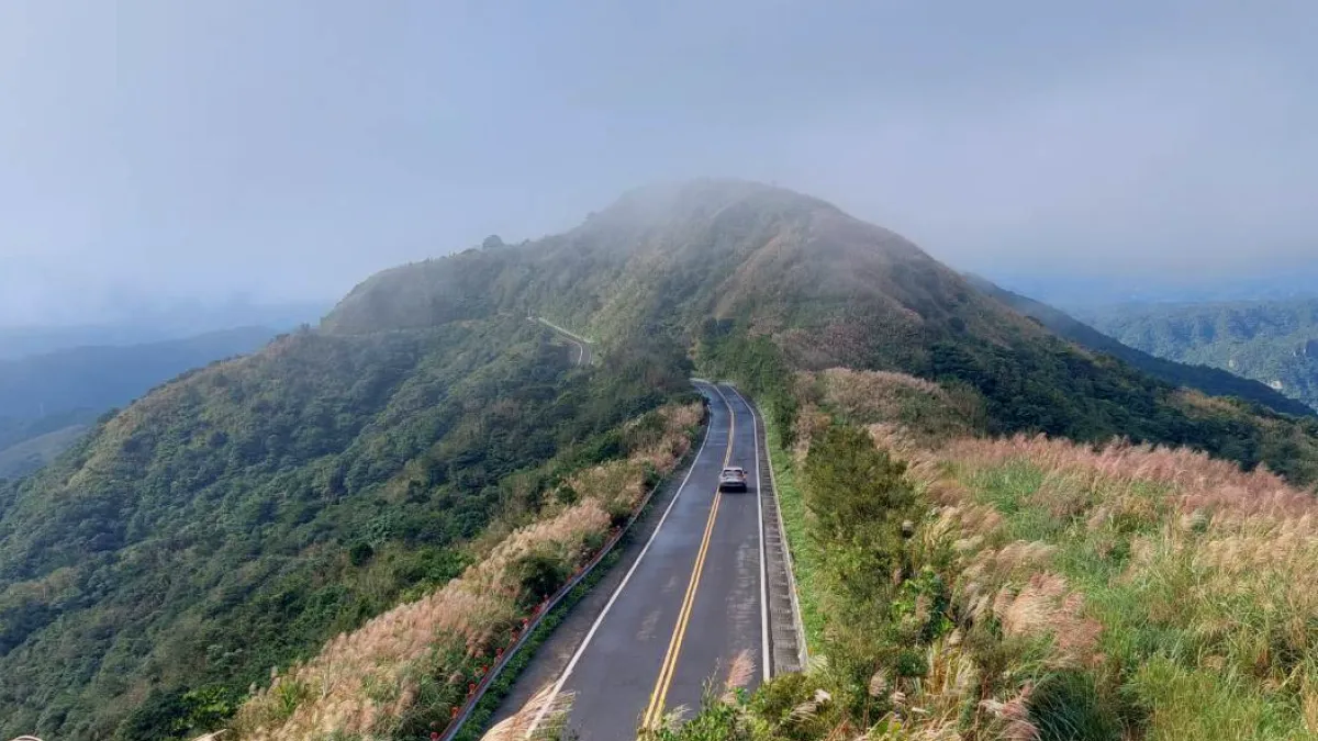 登上不厭亭瞭望山路兩側搖曳芒花,怎麼拍都美。(圖/新北市觀光旅遊局提供)