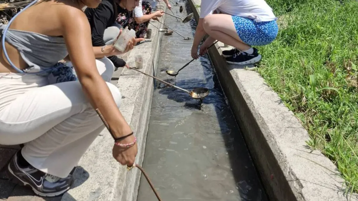 外國人體驗生態撈螺與撈魚。(圖/美濃客家莊提供)