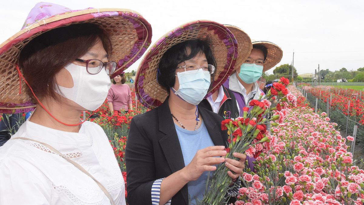 彰化縣政魯在田尾戶外花田舉辦「春暖花開.美麗的力量.馨心向農」活動記者會,縣長王惠美促銷木親節花卉康乃馨。(圖/彰化縣政府) 彰化縣政魯在田尾戶外花田舉辦「春暖花開.美麗的力量.馨心向農」活動記者會,縣長王惠美促銷木親節花卉康乃馨。(圖/彰化縣政府)