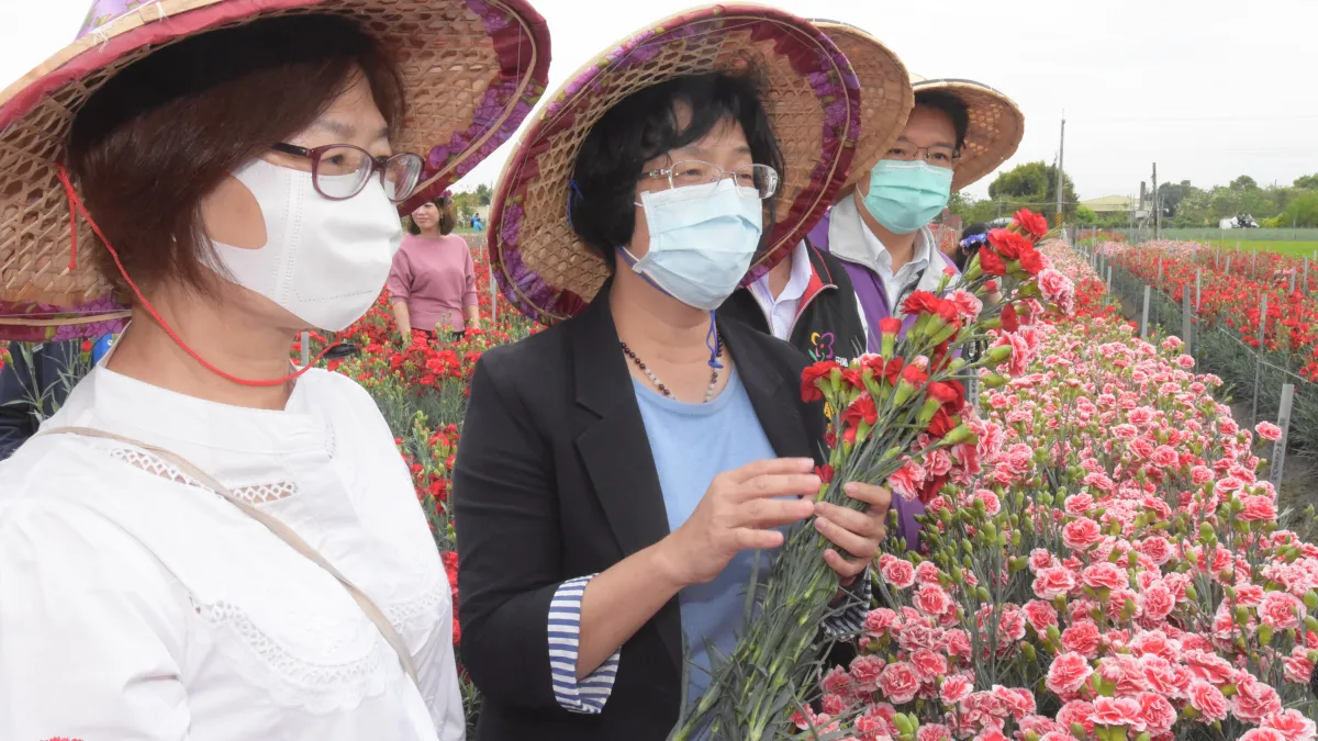 彰化縣政魯在田尾戶外花田舉辦「春暖花開.美麗的力量.馨心向農」活動記者會,縣長王惠美促銷木親節花卉康乃馨。(圖/彰化縣政府)
