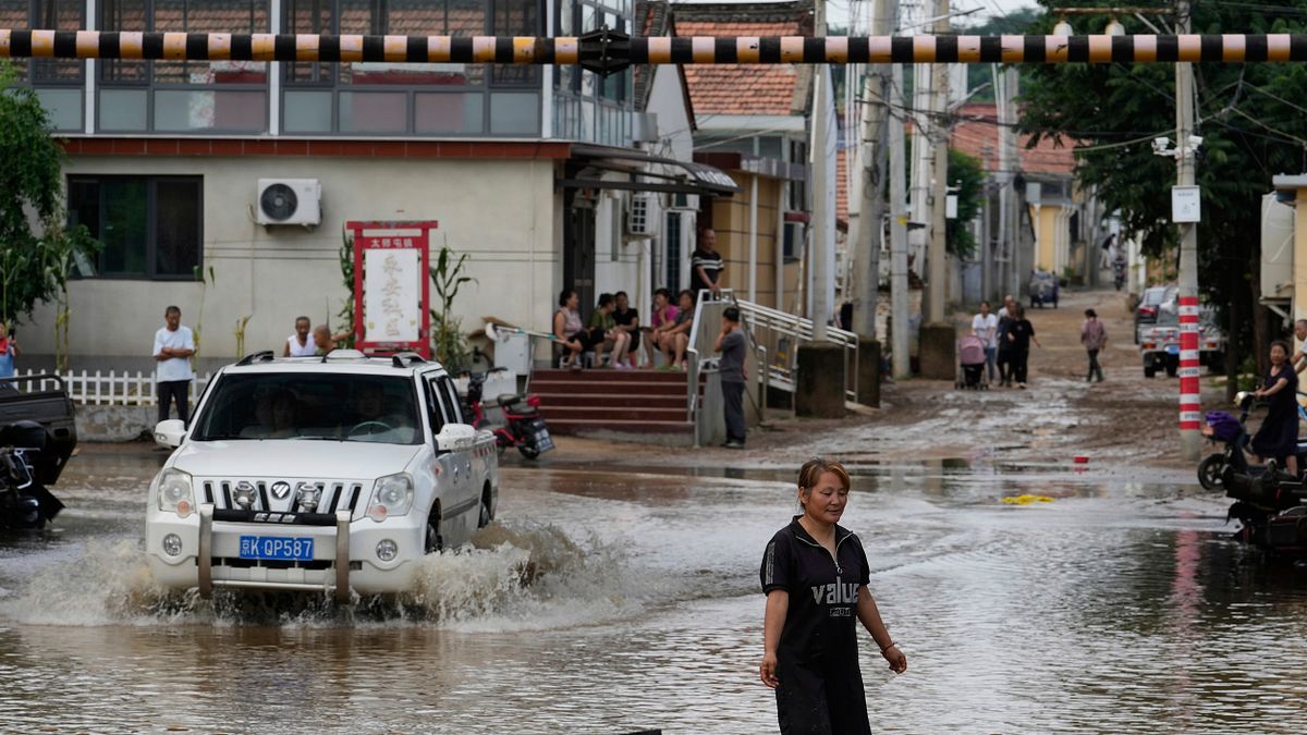 北京觀察》半世紀最長雨季重創華北玉米!產地爛地、收購價崩,中國糧荒風險要來了?