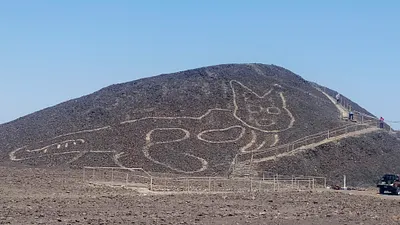 秘魯發現新納斯卡線,考古人員找到巨貓圖騰(美聯社)