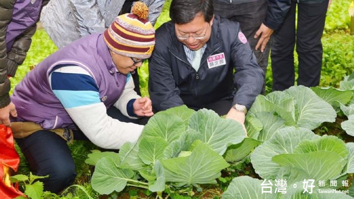 讓身心障礙者種菜翻轉人生 桃市美好庇護工場揭牌 讓身心障礙者種菜翻轉人生 桃市美好庇護工場揭牌