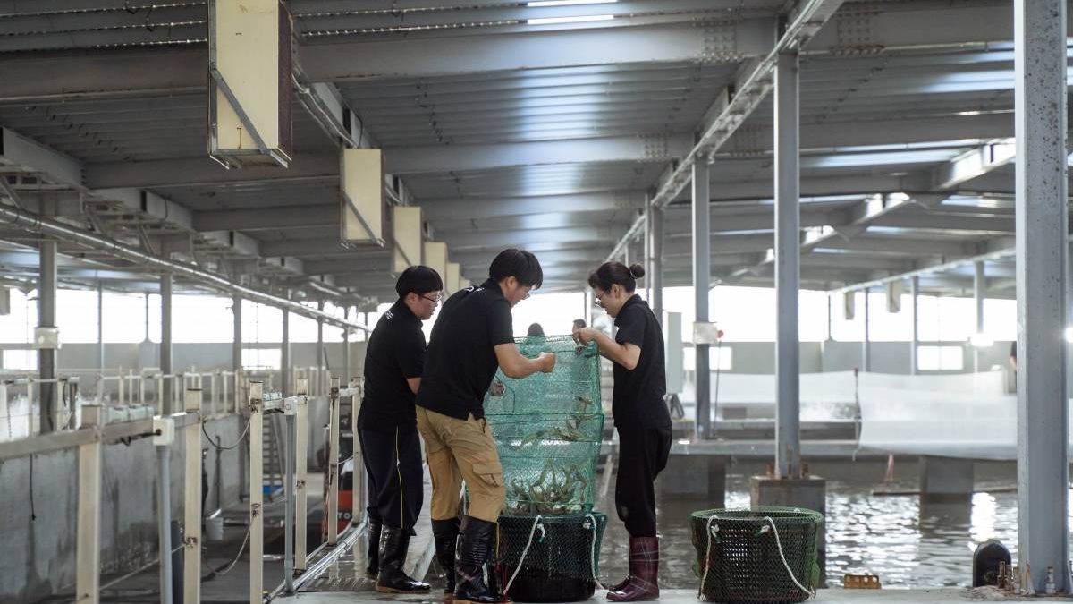 漁電共生打造永續養殖新模式 泓德能源日運案場成國內外關注示範場域