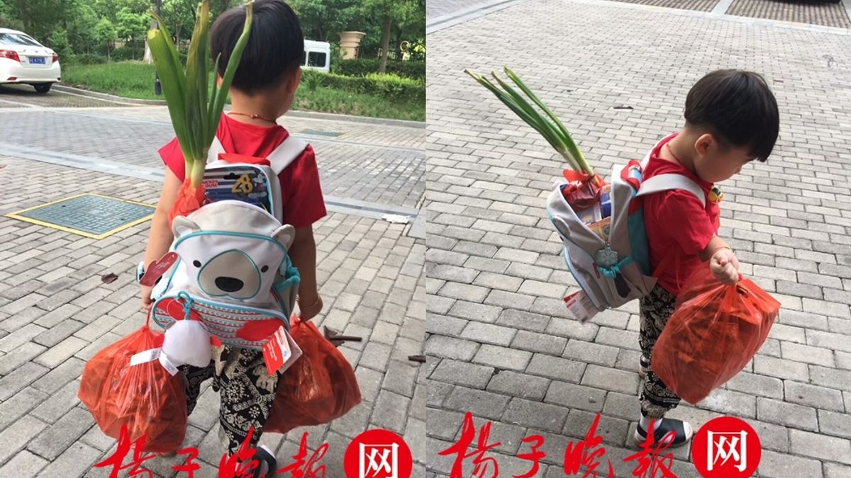 中國江蘇常熟一位4歲小朋友「悠悠」開學日揹了一把大葱上學,也成了全中國的網紅。(微博) 中國江蘇常熟一位4歲小朋友「悠悠」開學日揹了一把大葱上學,也成了全中國的網紅。(微博)