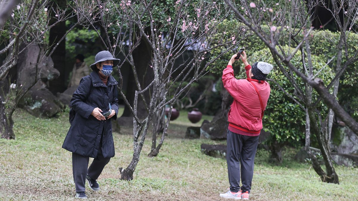 未來一周氣象》把握好天氣!氣溫狂跌剩12度「這天全台轉濕冷」,專家曝回暖時間