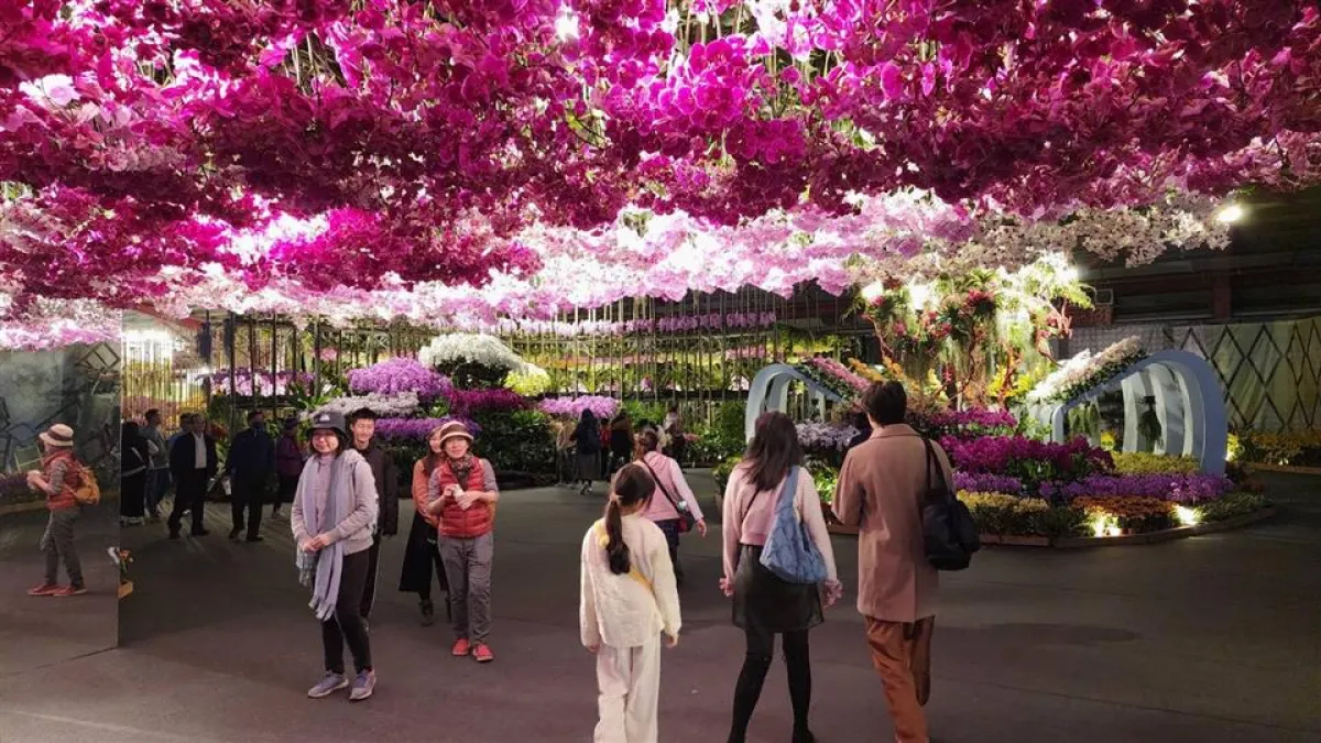 2025花在彰化以「花繪城事」為主題,以花為筆,結合彰化的自然、人文與產業,兼具永續與設計美學,給大家不同以往的視覺饗宴。(圖/彰化縣政府)