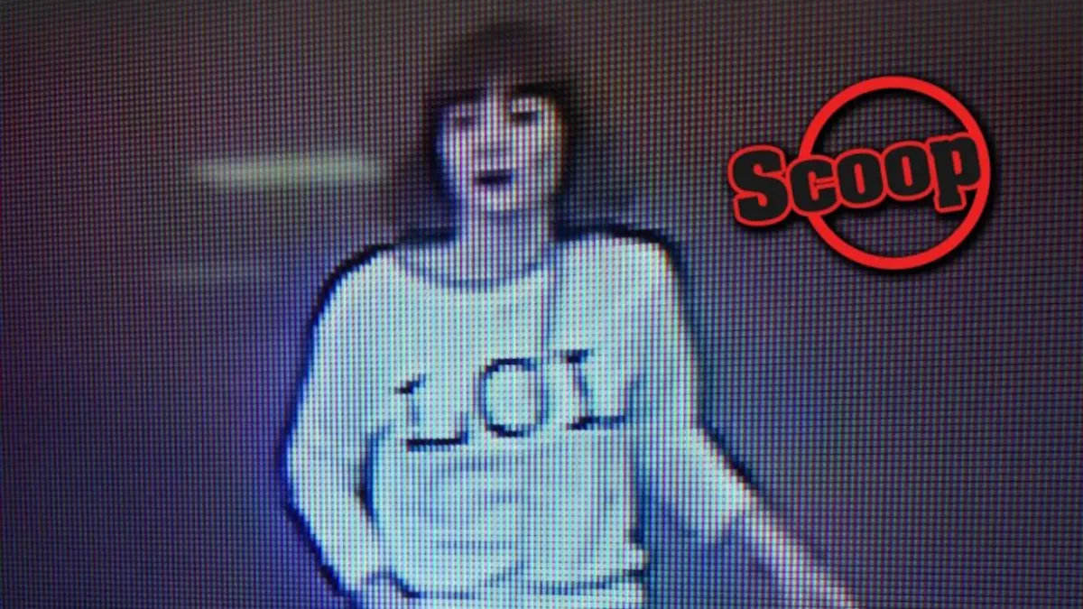 《馬來郵報》刊登的女嫌監視器照片。