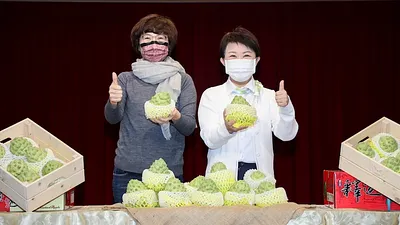 台中市政府認購台東產的鳳梨釋迦三萬多公斤,台東縣長饒慶鈴到中市府致謝並且跟台中市長盧秀燕一起行銷釋迦。(圖/台中市政府提供)