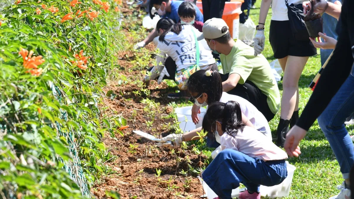 「山海造林計畫」號召民間團體共同響應,每年種植4萬棵樹,復育500株珊瑚,由山到海增加藍綠碳匯。(圖/新北市農業局提供)