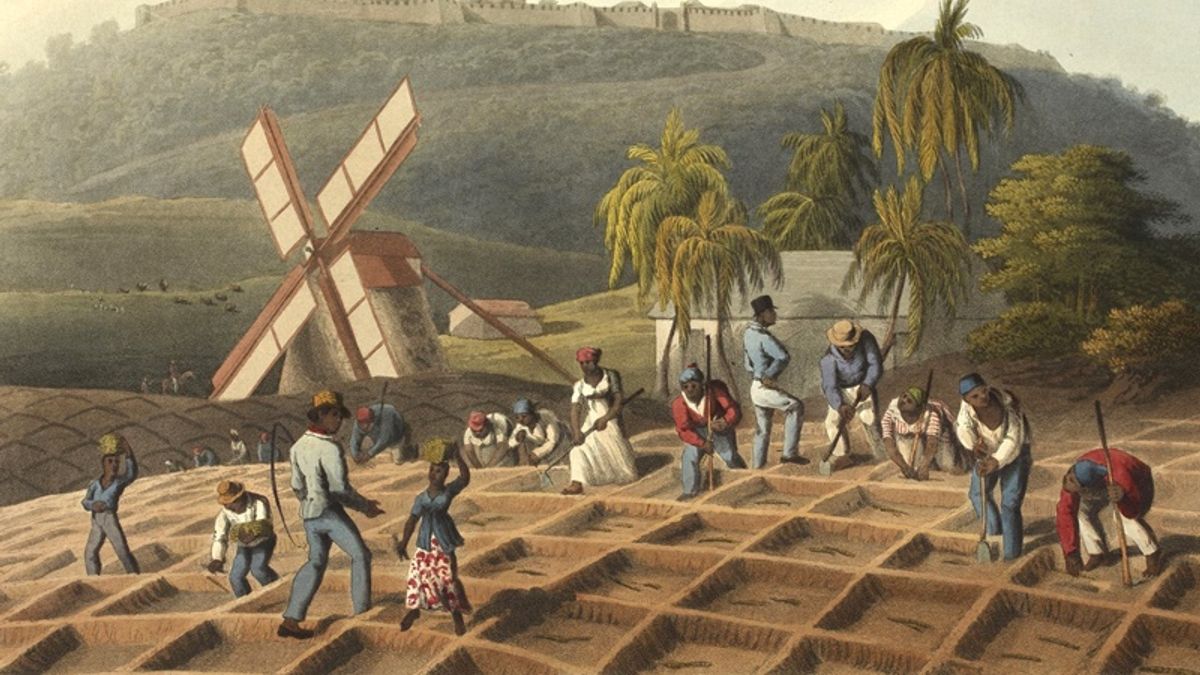 紅薯派的地位始於卑微,簡直痛不欲生:《烤箱裡的美國史》選摘(3)