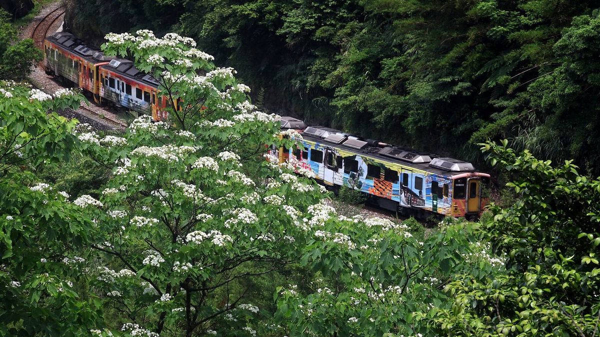 2018新北市客家桐花祭主場活動「藝桐愛新北」5日在土城區南天母廣場熱鬧開幕。(圖/新北市政府客家事務局提供) 2018新北市客家桐花祭主場活動「藝桐愛新北」5日在土城區南天母廣場熱鬧開幕。(圖/新北市政府客家事務局提供)