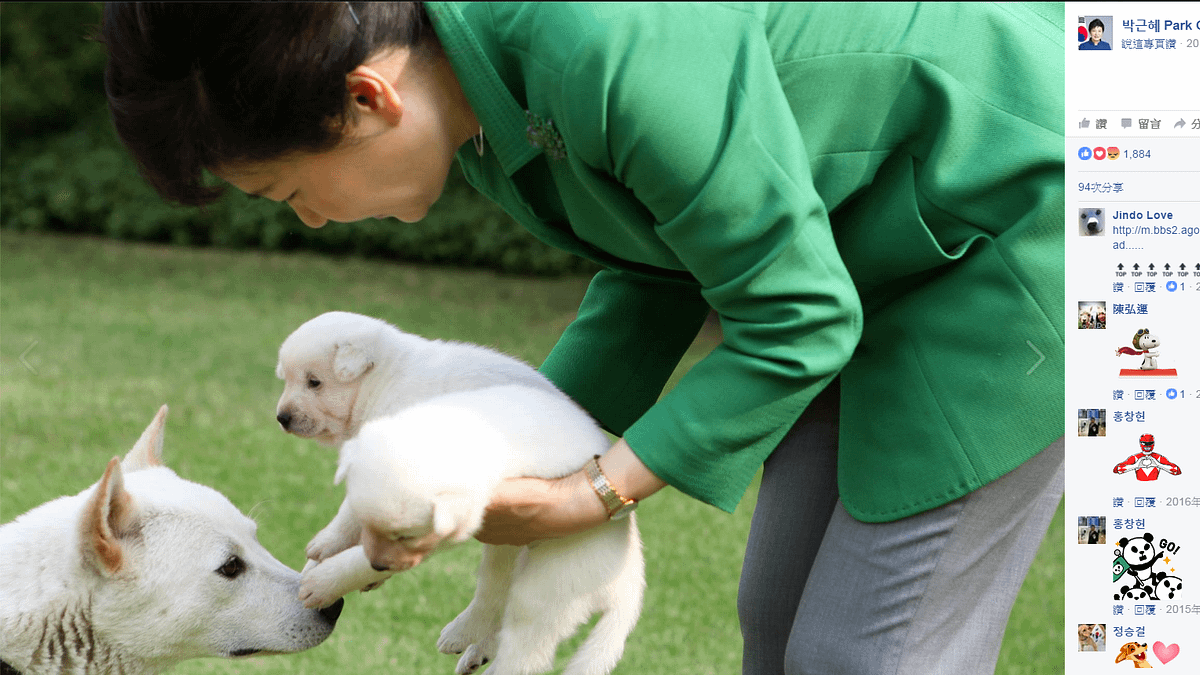 朴槿惠常在臉書曬毛小孩照片,離開青瓦台時卻被爆出棄養。(圖/取自朴槿惠臉書) 朴槿惠常在臉書曬毛小孩照片,離開青瓦台時卻被爆出棄養。(圖/取自朴槿惠臉書)
