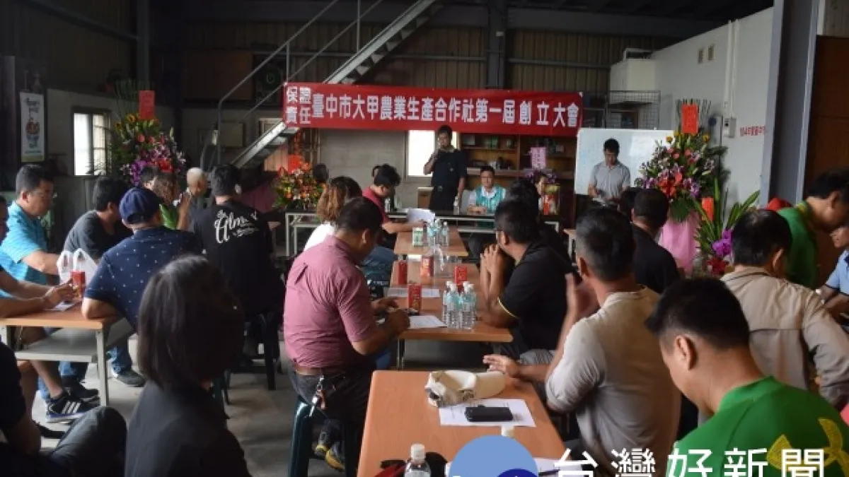 全國首次成立農業生產合作社 將銷售生產履歷芋頭
