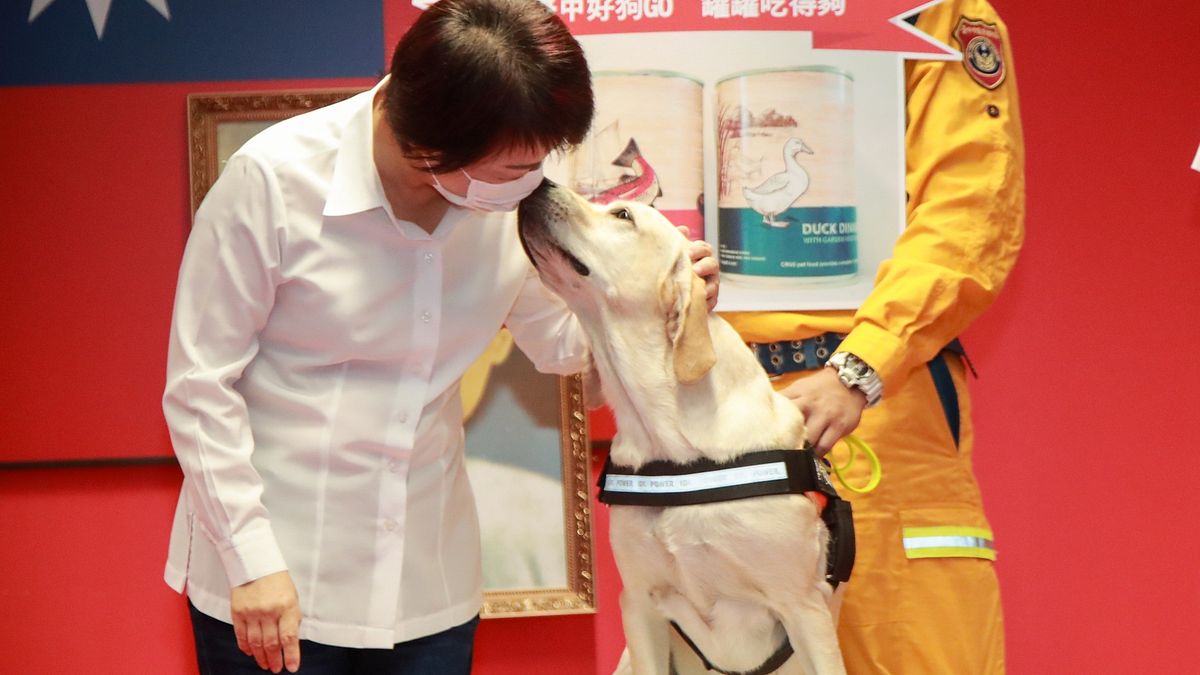 台中搜救犬「鐵雄」(中)4日獲授階2線1星,典禮中還「親了」台中市長盧秀燕(左)的臉頰。(台中市政府提供) 台中搜救犬「鐵雄」(中)4日獲授階2線1星,典禮中還「親了」台中市長盧秀燕(左)的臉頰。(台中市政府提供)