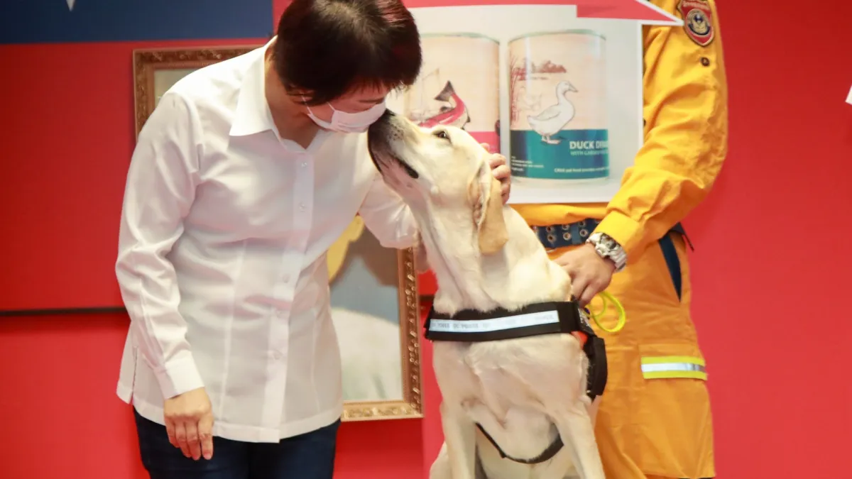 台中搜救犬「鐵雄」(中)4日獲授階2線1星,典禮中還「親了」台中市長盧秀燕(左)的臉頰。(台中市政府提供)