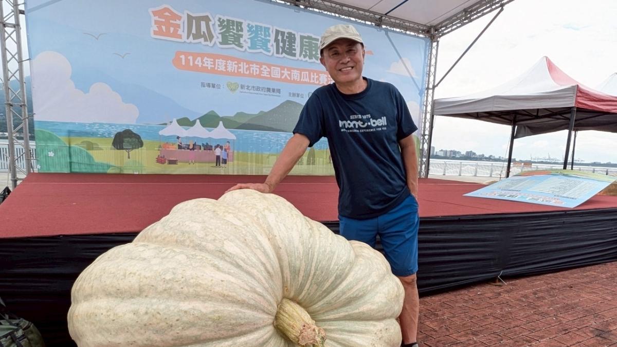 全國大南瓜比賽週末淡水登場 巨無霸南瓜、市集美食與DIY一次滿足