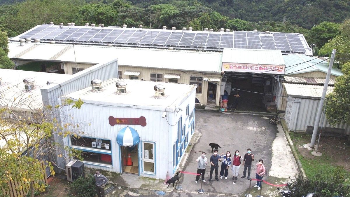 中和動物之家推廣綠色能源,與毛寶貝一起珍愛地球。(圖/新北市動保處提供) 中和動物之家推廣綠色能源,與毛寶貝一起珍愛地球。(圖/新北市動保處提供)