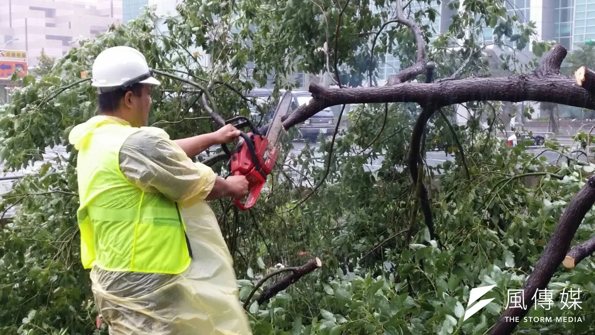 修剪路樹是防災整備的重點工作。(北市公園處提供)