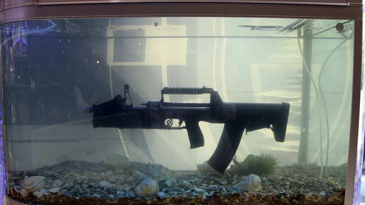 ADS兩棲突擊步槍。(Vitaly V. Kuzmin@wikipedia/CC BY-SA 4.0)