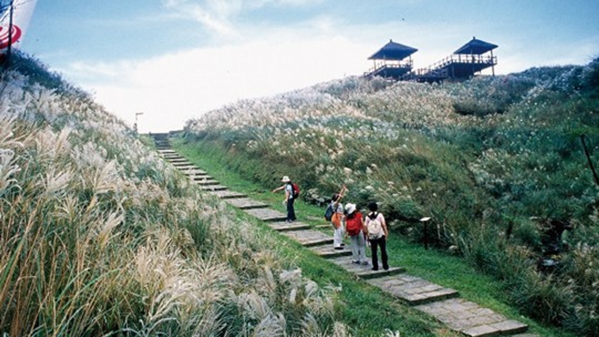 新北觀旅局推出七條燃脂運動遊程,讓民眾悠遊賞景,還可以來趟兼具甩肉、練肌、健身的運動旅遊。(圖/新北市觀旅局提供) 新北觀旅局推出七條燃脂運動遊程,讓民眾悠遊賞景,還可以來趟兼具甩肉、練肌、健身的運動旅遊。(圖/新北市觀旅局提供)