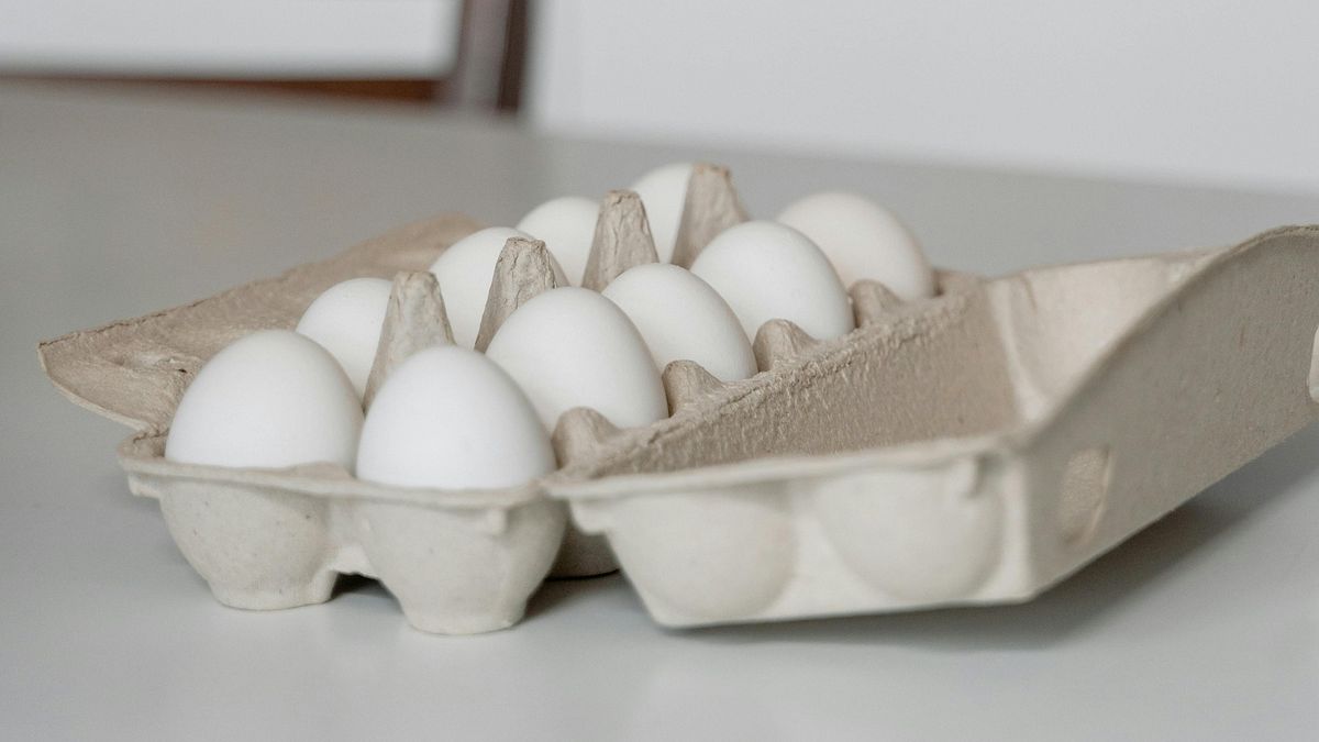 連「蛋雞羽毛」也含芬普尼 毒物專家推測:雞農違法噴藥驅蟲所致