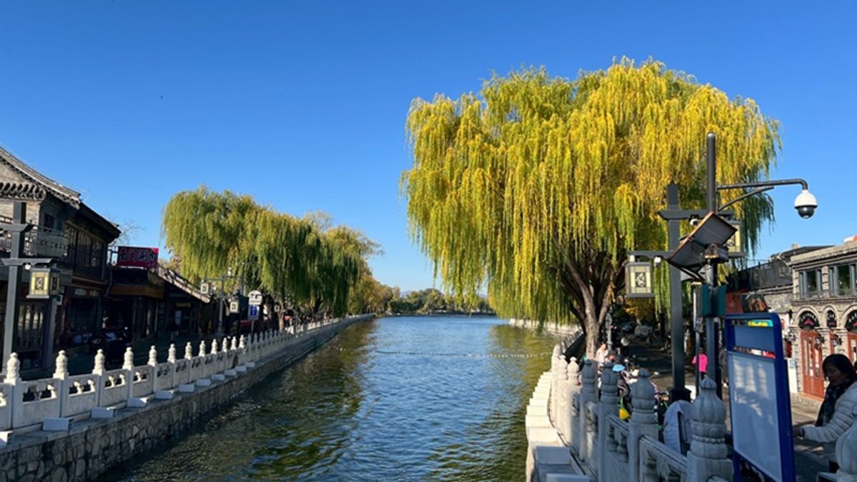 張鈞凱專欄:北京的天空,深圳的巨石