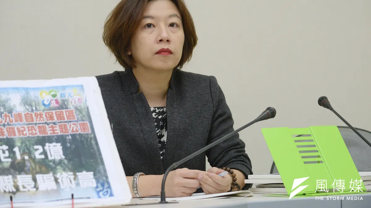 不分區立委林靜儀將接任民進黨中央黨部國際部主任。(資料照片,甘岱民攝)