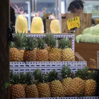 Taiwan's most-produced fruit is not banana or mango. It's pineapple.(CNA) Taiwan's most-produced fruit is not banana or mango. It's pineapple.(CNA)