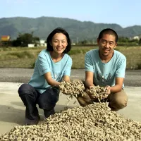 美好花生精挑細選花蓮在地鳳林九號花生製作手工牛軋糖。(圖/勞動力發展署北分署提供) 美好花生精挑細選花蓮在地鳳林九號花生製作手工牛軋糖。(圖/勞動力發展署北分署提供)