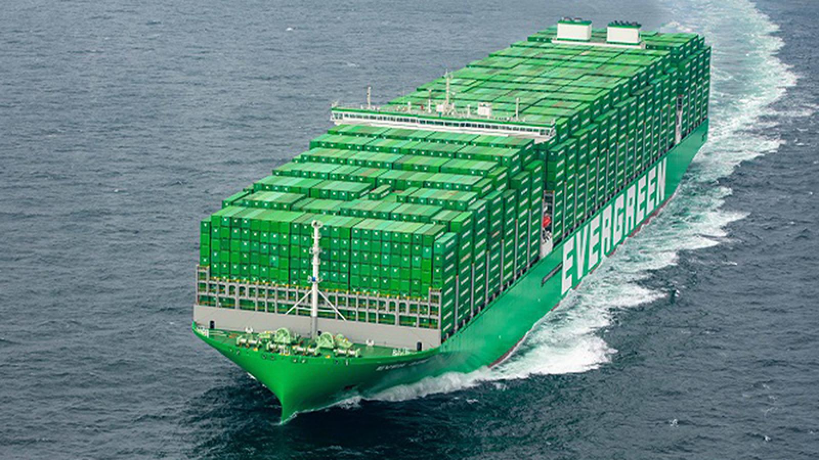 不是萬海長榮!航運概念股突然噴出,00981A新建倉「1檔」直接漲停!一文看懂為何航運突然暴漲