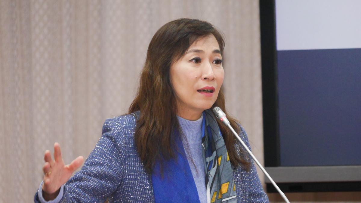 2028無緣選立委?林宜瑾詐千萬助理費重判7年 民進黨:一審判決有罪就處分