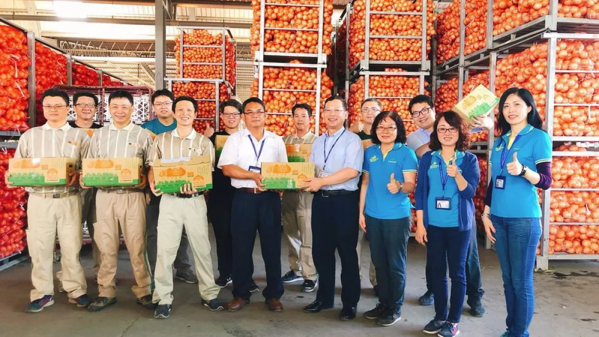 物流企業挺蔥農,員購銷售規模突破5000箱。(圖/屏東縣政府提供)