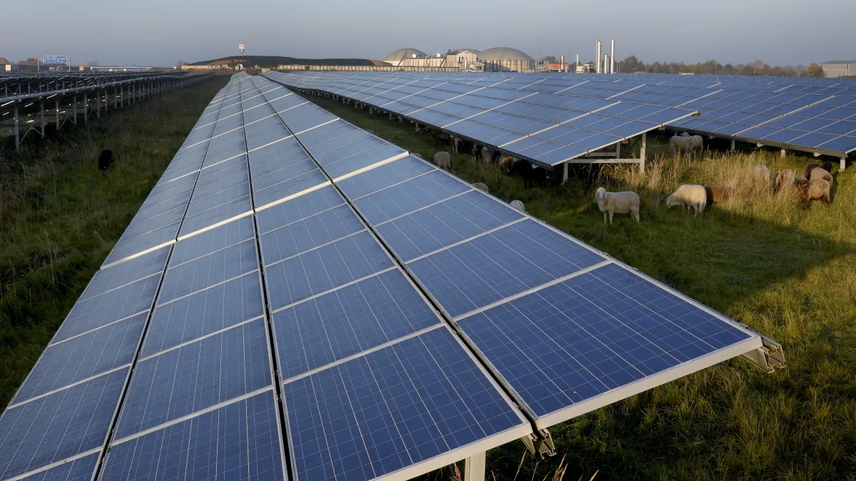 IEA報告中討論的無碳能源包括傳統水力發電及核能發電,當然著墨最多的是新興無碳能源功能較大的太陽能、風能、生質能、氫能等。也略有提及功能有限的地熱及海洋能。(AP)