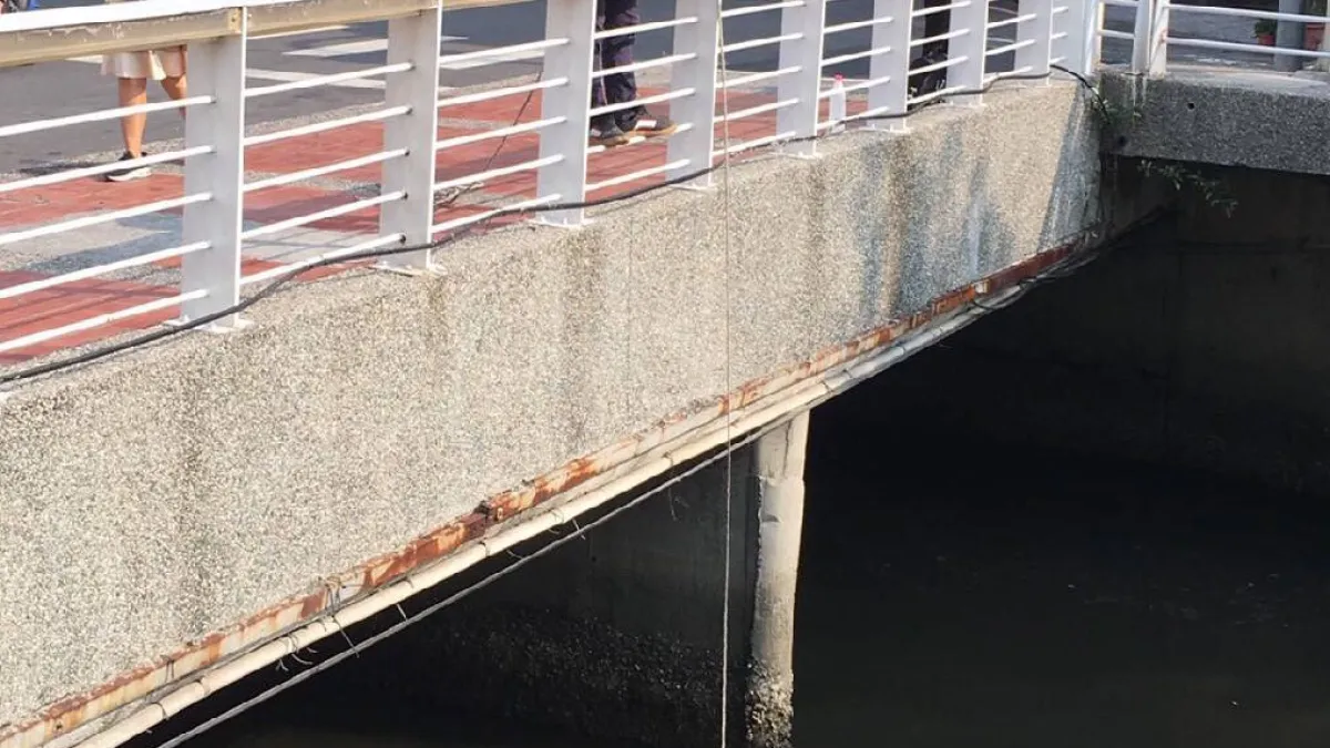 環保局稽查發現水質溶氧超高並富含藻類,經顯微鏡觀察結果是矽藻及顫藻大量繁殖。(圖/高市環保局提供)
