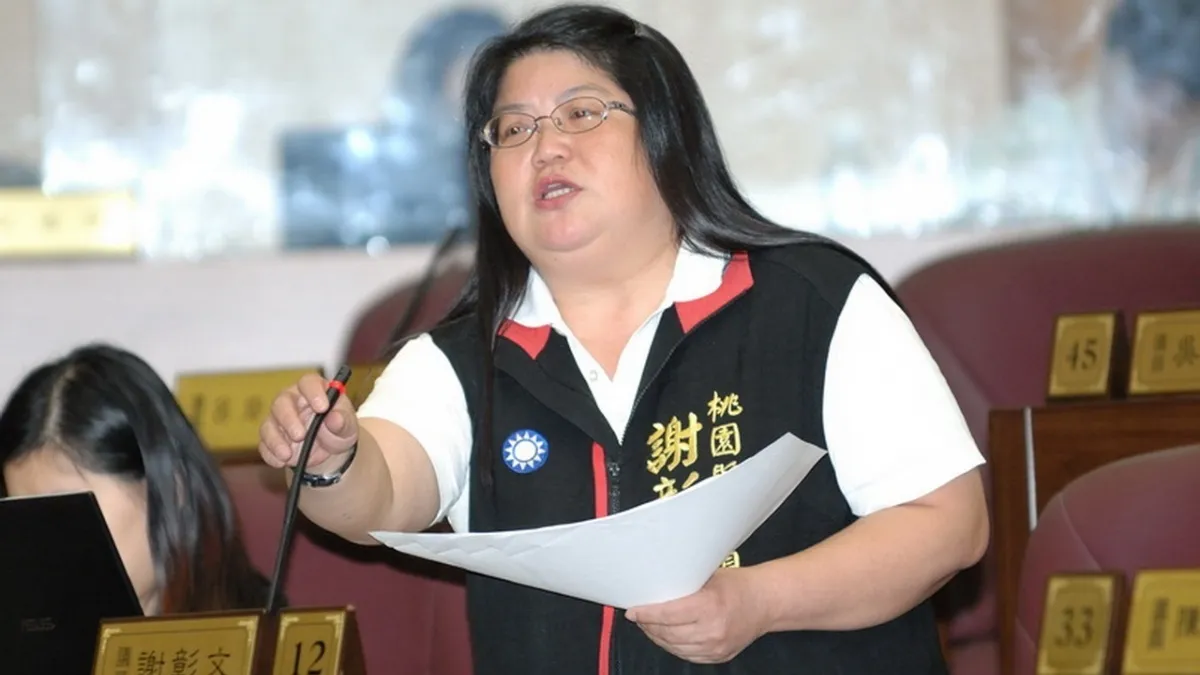 桃市多區遇雨則淹 議員謝彰文促市府改善排水工程