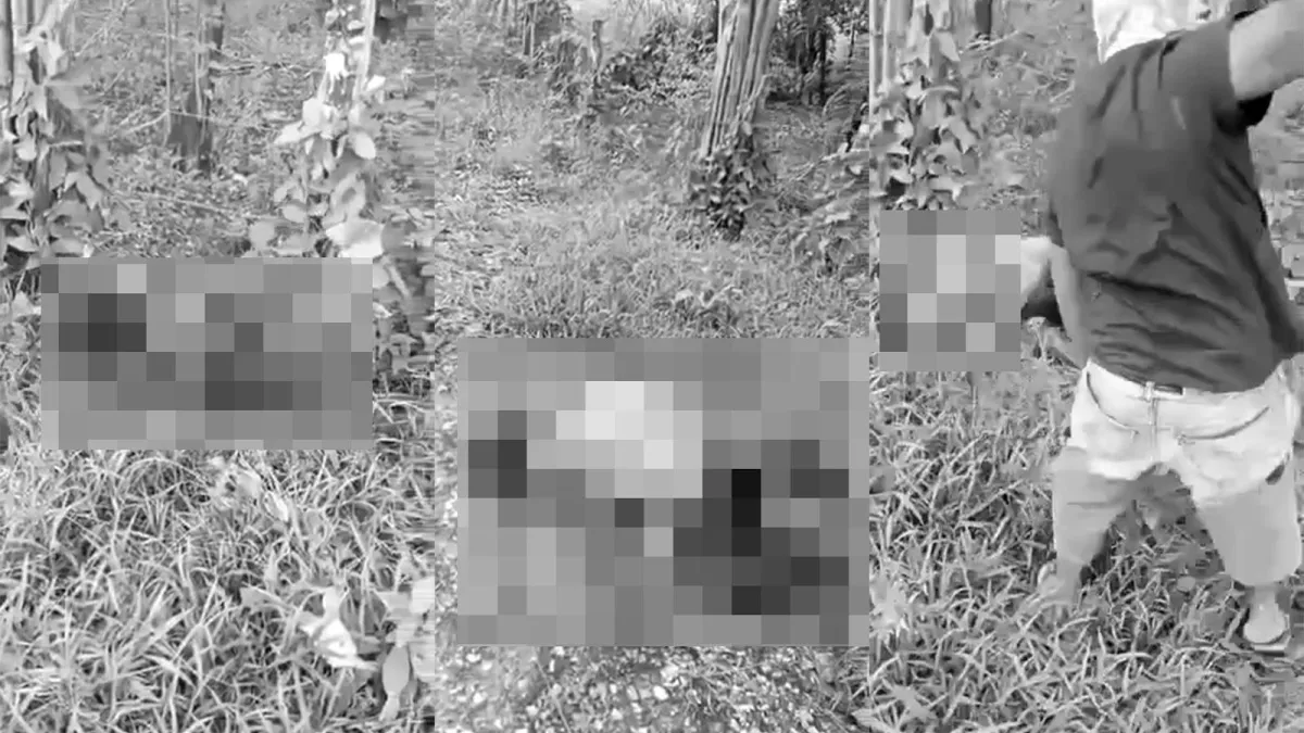 柬埔寨台人反抗遭砍斷手腳?其實是墨西哥販毒集團處決內部成員。(圖/翻攝自「MyGoPen麥擱騙」)
